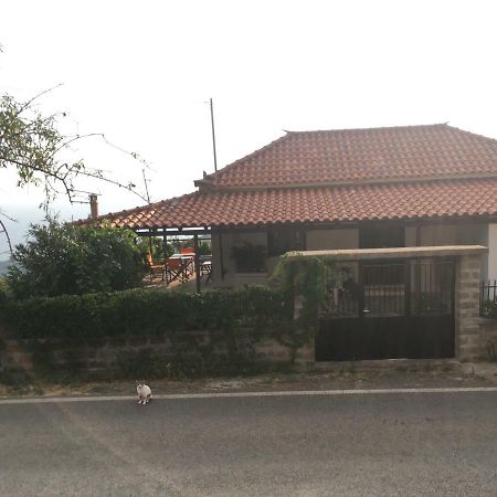 Angel Villa Tseria Dış mekan fotoğraf